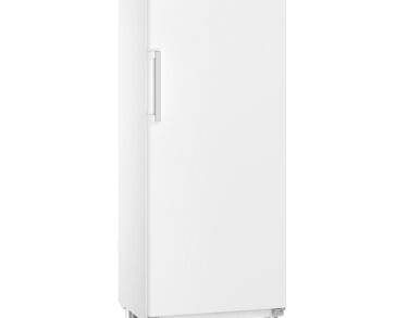 Armoire positive GN2/1, cuve PS, carrosserie époxy blanc, 655L